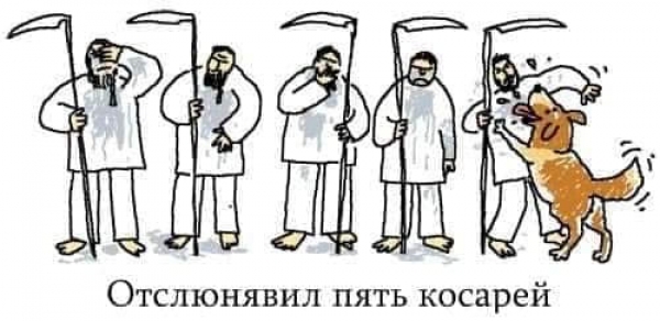 Что будет если мы все начнем воспринимать буквально