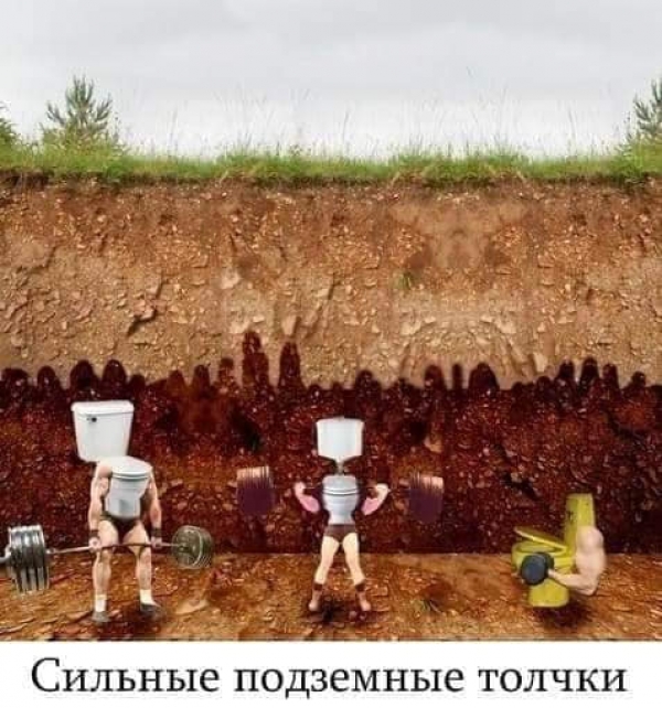 Что будет если мы все начнем воспринимать буквально