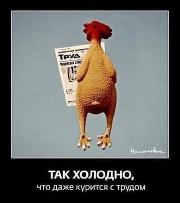 Что будет если мы все начнем воспринимать буквально