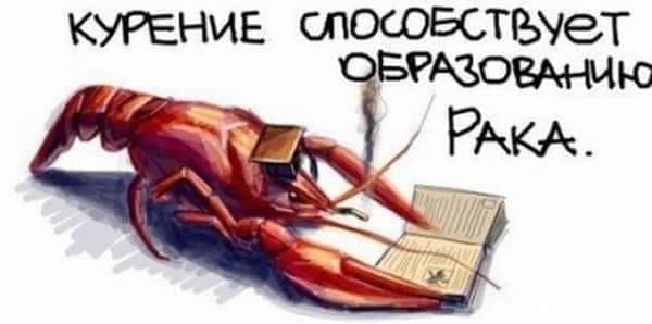 Что будет если мы все начнем воспринимать буквально
