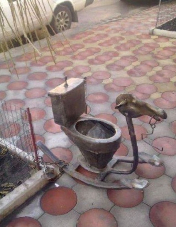 Чудеса сантехнические