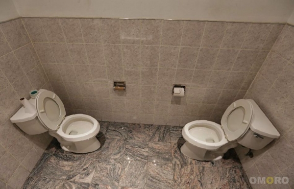 Чудеса сантехнические