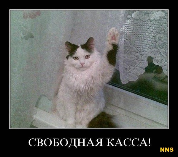 Котомотиваторы