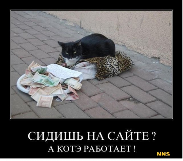 Котомотиваторы