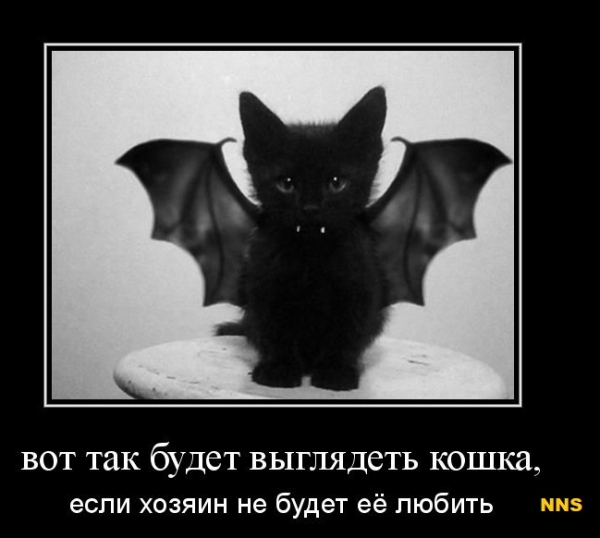 Котомотиваторы