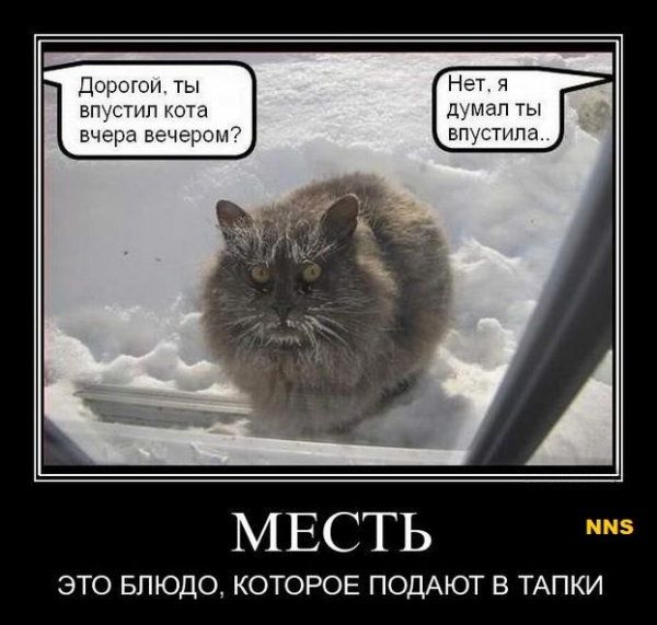 Котомотиваторы