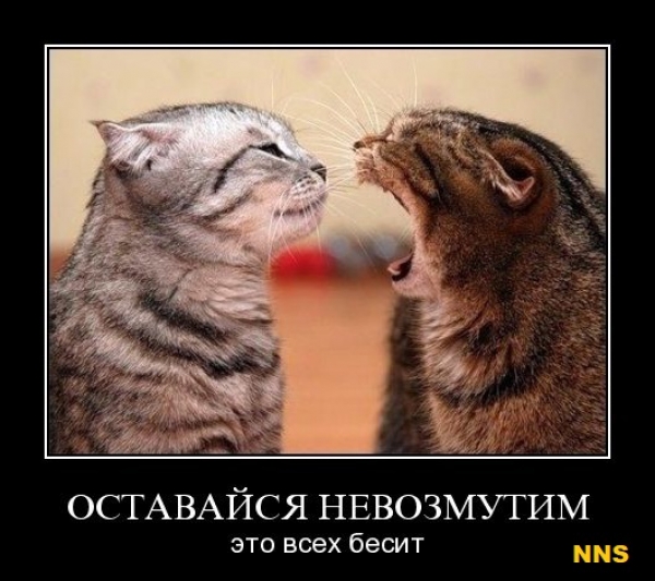 Котомотиваторы