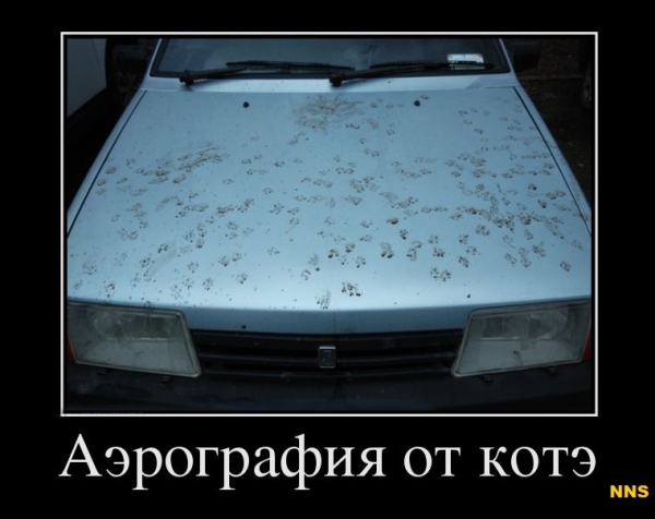 Котомотиваторы