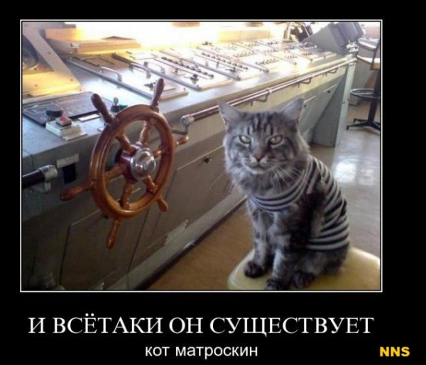 Котомотиваторы