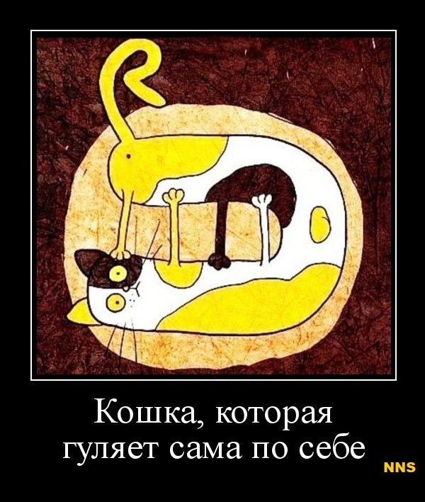 Котомотиваторы