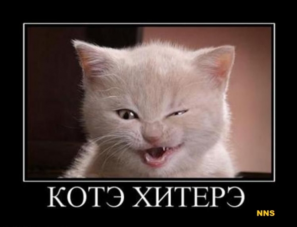 Котомотиваторы