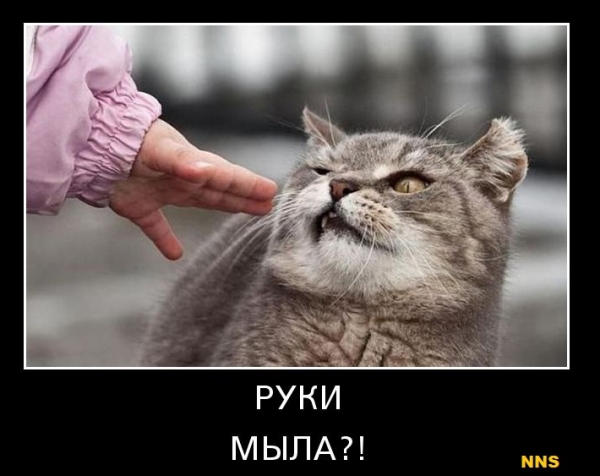 Котомотиваторы