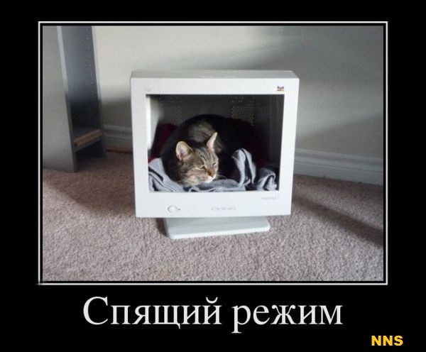 Котомотиваторы