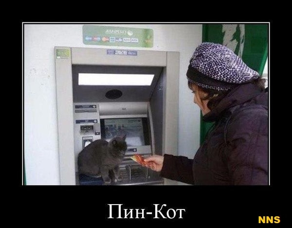 Котомотиваторы