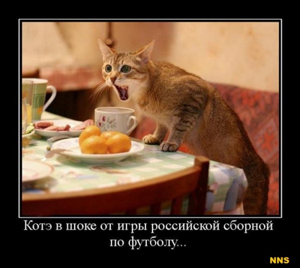 Котомотиваторы