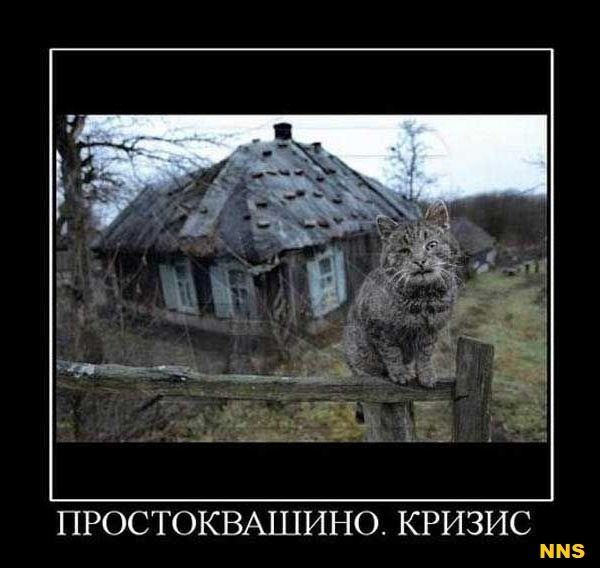 Котомотиваторы
