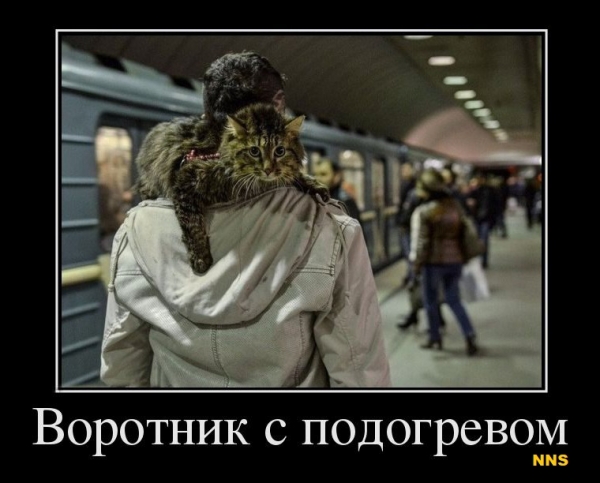 Котомотиваторы