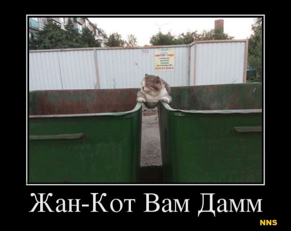 Котомотиваторы