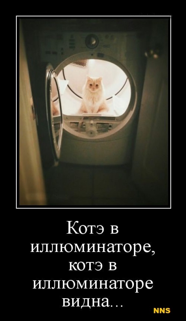 Котомотиваторы