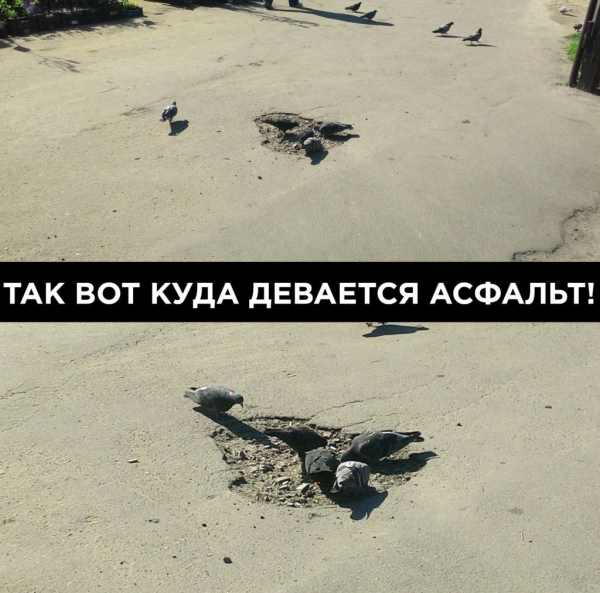 Дороги и... еще раз дороги