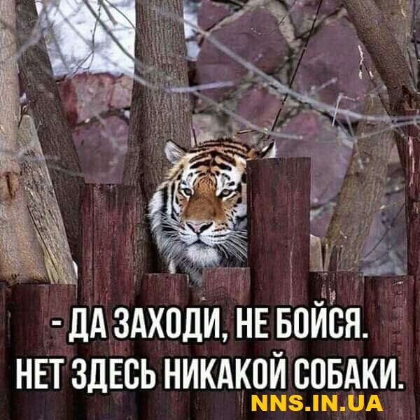 Улетные картинки