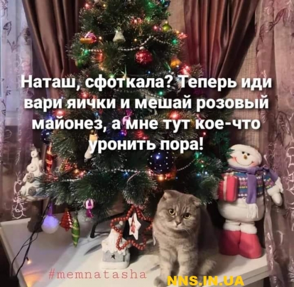 Улетные картинки