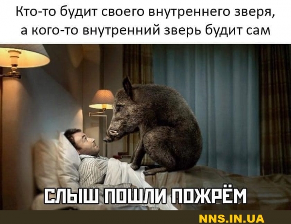 Улетные картинки