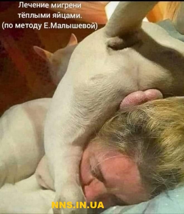 Улетные картинки