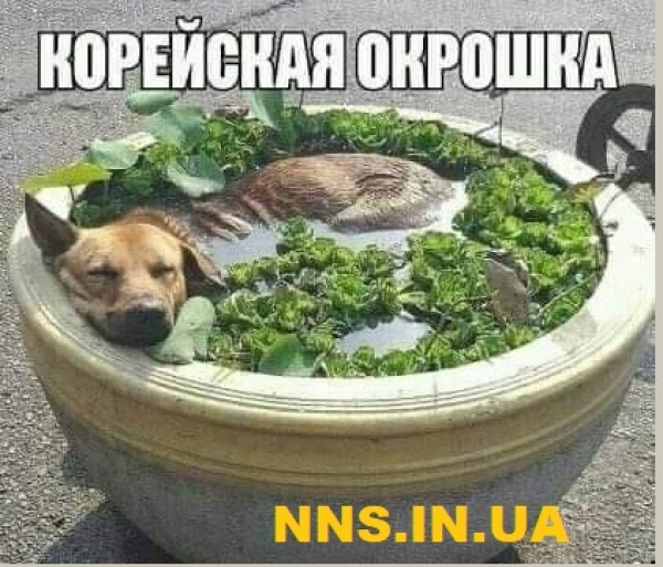 Улетные картинки