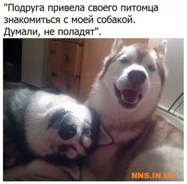 Прикольная подборка с просторов инета
