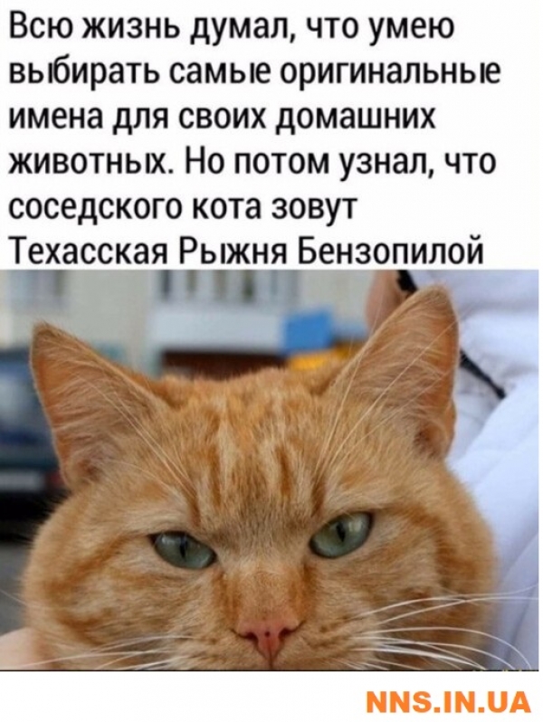 Прикольная подборка с просторов инета