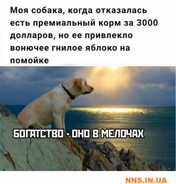 Прикольная подборка с просторов инета