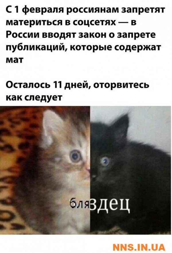 Прикольная подборка с просторов инета