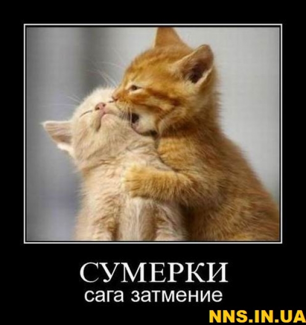 23 демотиватора на 23 февраля