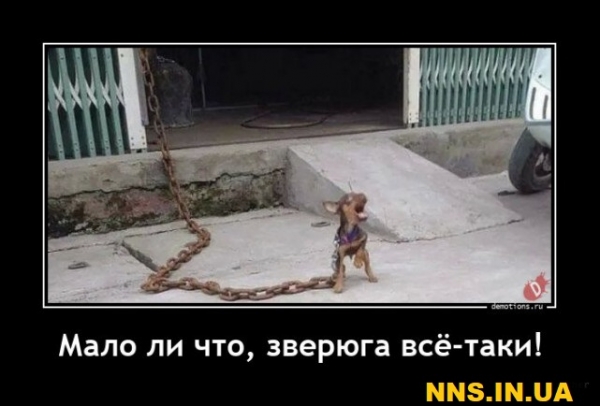 23 демотиватора на 23 февраля