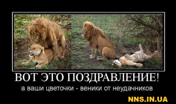 Подборка прикольчиков в канун 8 марта