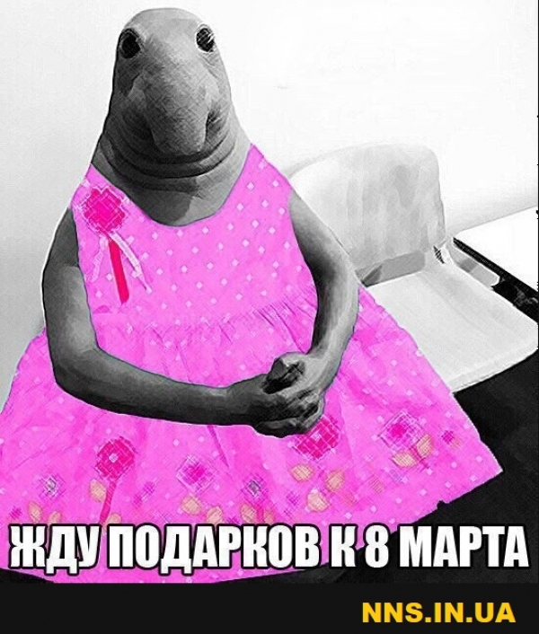 Подборка прикольчиков в канун 8 марта