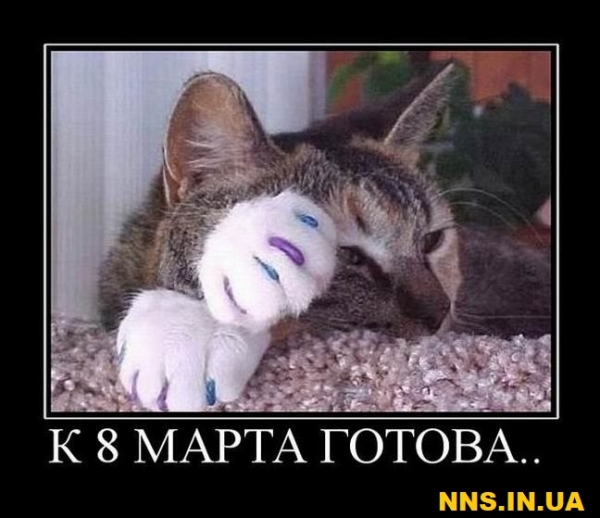 Подборка прикольчиков в канун 8 марта