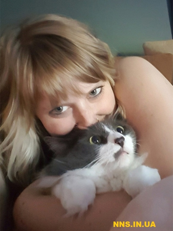 Коты не в восторге от селфи