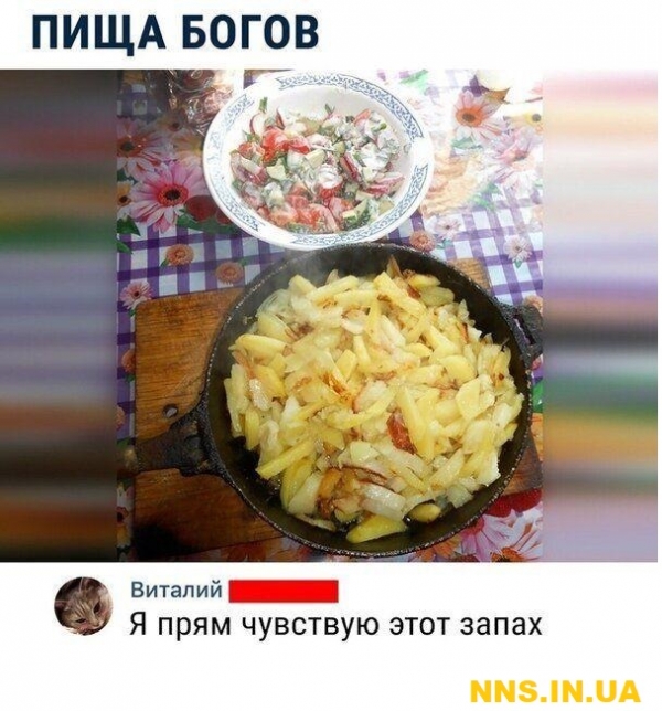 Очередная порция летнего юмора
