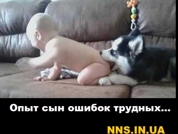 Очередная порция летнего юмора