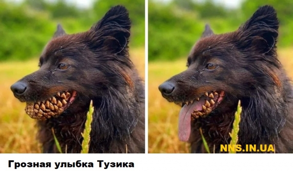 Мастера фотошопа рулят