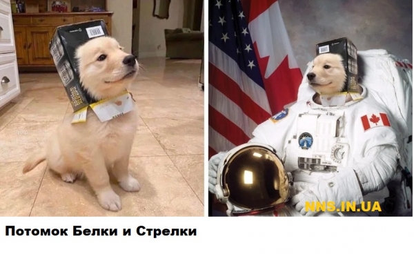 Мастера фотошопа рулят