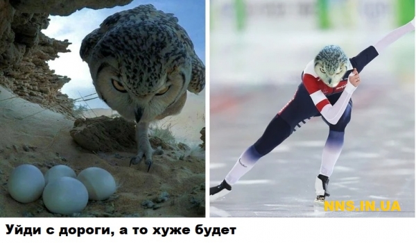 Мастера фотошопа рулят