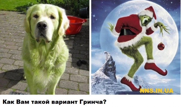 Мастера фотошопа рулят