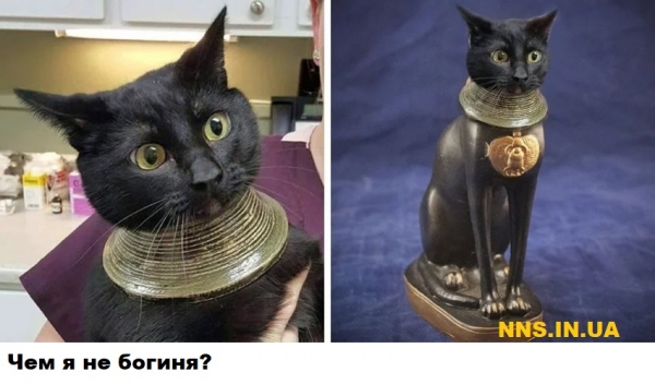 Мастера фотошопа рулят
