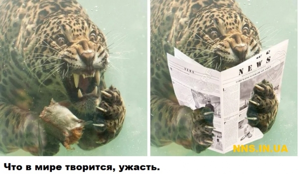 Мастера фотошопа рулят