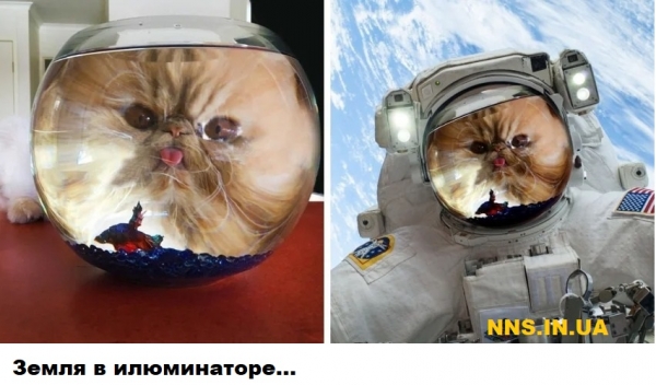 Мастера фотошопа рулят