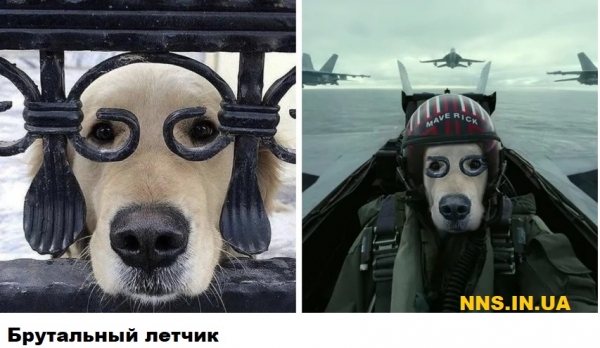 Мастера фотошопа рулят