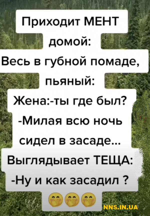 Свежая подборка анекдотов из Тик Тока
